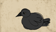 Bird Crow GIF - Bird Crow Raven GIFs