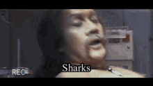 50first Dates Ula GIF - 50first Dates Ula Sharks GIFs