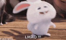 a stuffed white rabbit is standing on a wooden floor and says lmao !!!