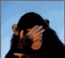 Sifudeu Si Fudeu  Fodeu Macaco GIF - Fucked Facepalm Monkey GIFs