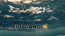 Fiji Fijigc GIF - Fiji Fijigc Yachtclub GIFs