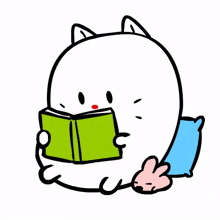 animal kitty cat cute read