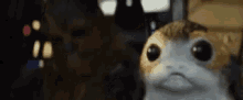 Shocked Star Wars GIF - Shocked Star Wars Chewbaca GIFs