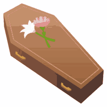 objects coffin