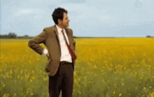 a man in a suit and tie is standing in a field of yellow flowers with his hands on his hips .
