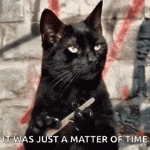 a black cat is holding a nail file and a knife in its paws .