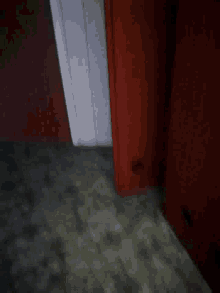 Hallway Flash GIF - Hallway Flash Open Door GIFs