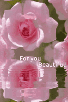 For You Beauty Ra5575 GIF - For You Beauty Ra5575 Pink575 GIFs