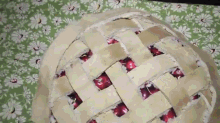 Kitten Sleeps In A Cherry Pie With Her Teddy Bear GIF - Cats GIFs