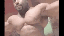 Akim Williams GIF - Akim Williams Bodybuilder GIFs