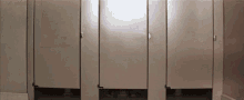 a row of toilet cubicles in a public restroom with the doors open .