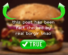 a picture of a hamburger with the words " this post has been fact checked by real borgir imao " below it