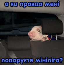 a picture of a pig in the back seat of a car with the words " a bu prava mehi " above it