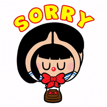 apologies apologize