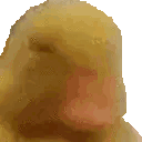 a close up of a person 's face in a pixel art style with a white background .