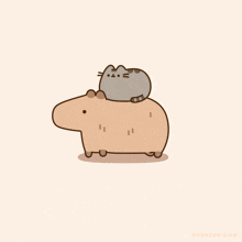 Pusheen Cat Capybara GIF