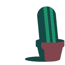 fm4 cactus