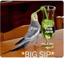 a bird is drinking a glass of dumb fuck juice with a straw