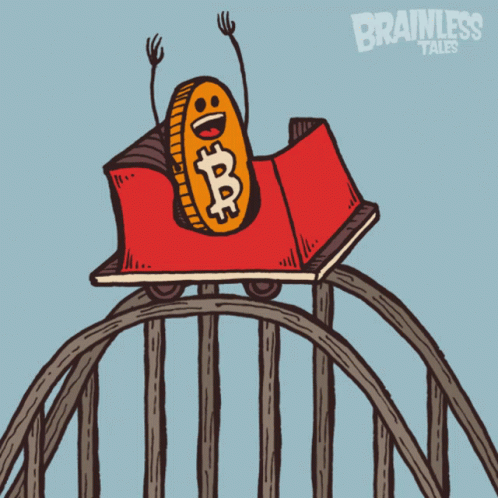 Bitcoin Bitcoin Coaster GIF - Bitcoin Bitcoin Coaster Roller Coaster GIFs