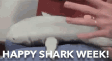 Excited Happy Shark Week GIF - Excited Happy Shark Week Tickling GIFs