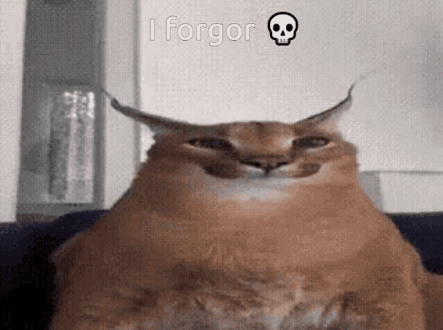 I Forgor GIF - I Forgor - Discover & Share GIFs