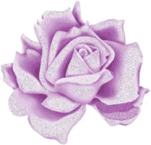 rose glittery beautiful pretty purple