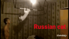 Cat Russian GIF - Cat Russian Workout GIFs