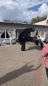 a woman taking a picture of a teddy bear with tiktok written on the bottom right