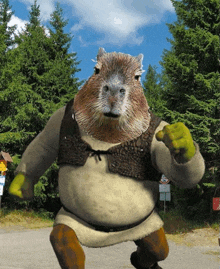 a shrek costume with a guinea pig head