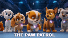 The Paw Patrol Rubble GIF - The Paw Patrol Rubble Marshall GIFs