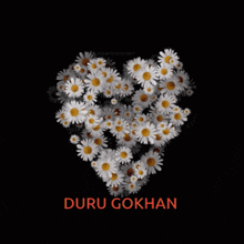 Duru Gokhan GIF - Duru Gokhan GIFs