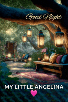 a picture of a garden with the words good night my little angelina