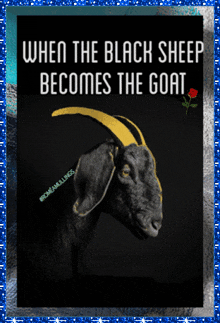 a black goat with a yellow horn and the words " when the black sheep becomes the goat " above it