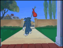GIF