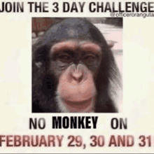 Monke Monkey GIF - Monke Monkey 3days GIFs