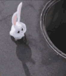 Snowball Bunny GIFs | Tenor
