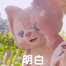 a pink stuffed animal with chinese writing on it 's face .