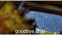 chat goodbye