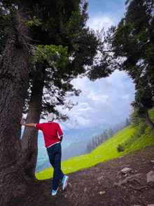 a man standing next to a tree on a hill