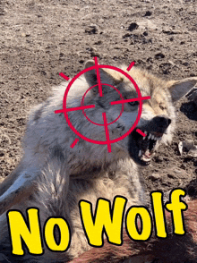 Wolf Target Nowolf GIF - Wolf Target Nowolf No Wolf GIFs