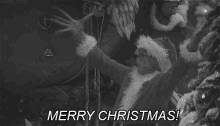 Merry Christmas! GIF - Merry Christmas The Grinch Jolly GIFs