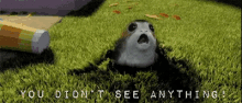 Porg You Did Not See Anything GIF - Porg You Did Not See Anything GIFs