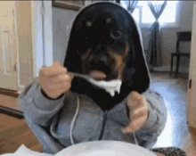 Dog Eat GIF