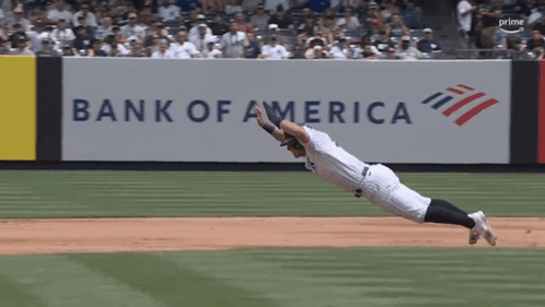 New York Yankees Anthony Volpe GIF - New york yankees Anthony Volpe Yankees  - Discover & Share GIFs