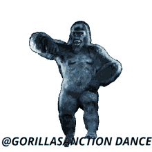 sanction gorilla