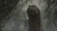 Godzilla Godzilla Vs King Ghidorah GIF