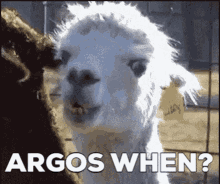 Argos Lost Ark GIF - Argos Lost Ark Lama GIFs
