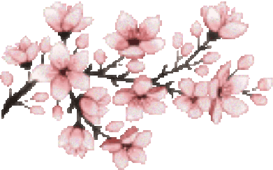 Cherry Blossom Blossoms Sticker - Cherry blossom Blossom Blossoms -  Discover & Share GIFs