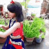 a little girl in a red and blue dress is standing next to a potted plant .