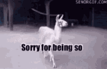 Yes Sorry For Being So Fabulous GIF - Yes Sorry For Being So Fabulous Drama Lama GIFs